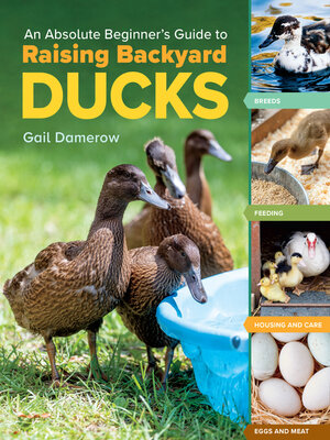 cover image of An Absolute Beginner's Guide to Raising Backyard Ducks